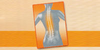 Logo von Krankengymnastik (PHYSIO MOBIL) Scheel Scarlett