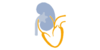 Logo von Adamski, Bastek,Toepfer, Vogelsang Dres.med.