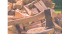 Logo von Schadt Wilhelm