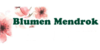 Logo von Blumen Mendrok Inh. Blumen Berner e.K.